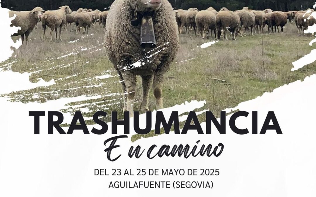 III FERIA DE LA TRASHUMANCIA Y LA GANADERÍA EXTENSIVA