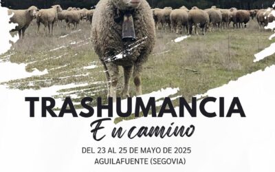 III FERIA DE LA TRASHUMANCIA Y LA GANADERÍA EXTENSIVA