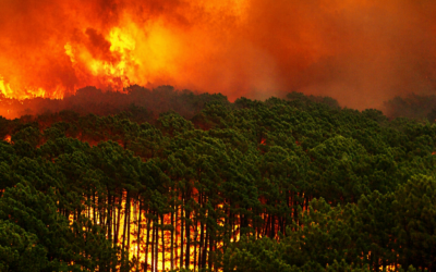 Charla «Cuando el monte arde: realidad, mito y estrategia contra el fuego»