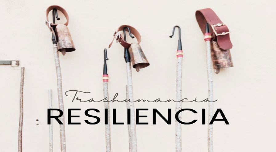 IV FERIA DE LA TRASHUMANCIA – RESILIENCIA